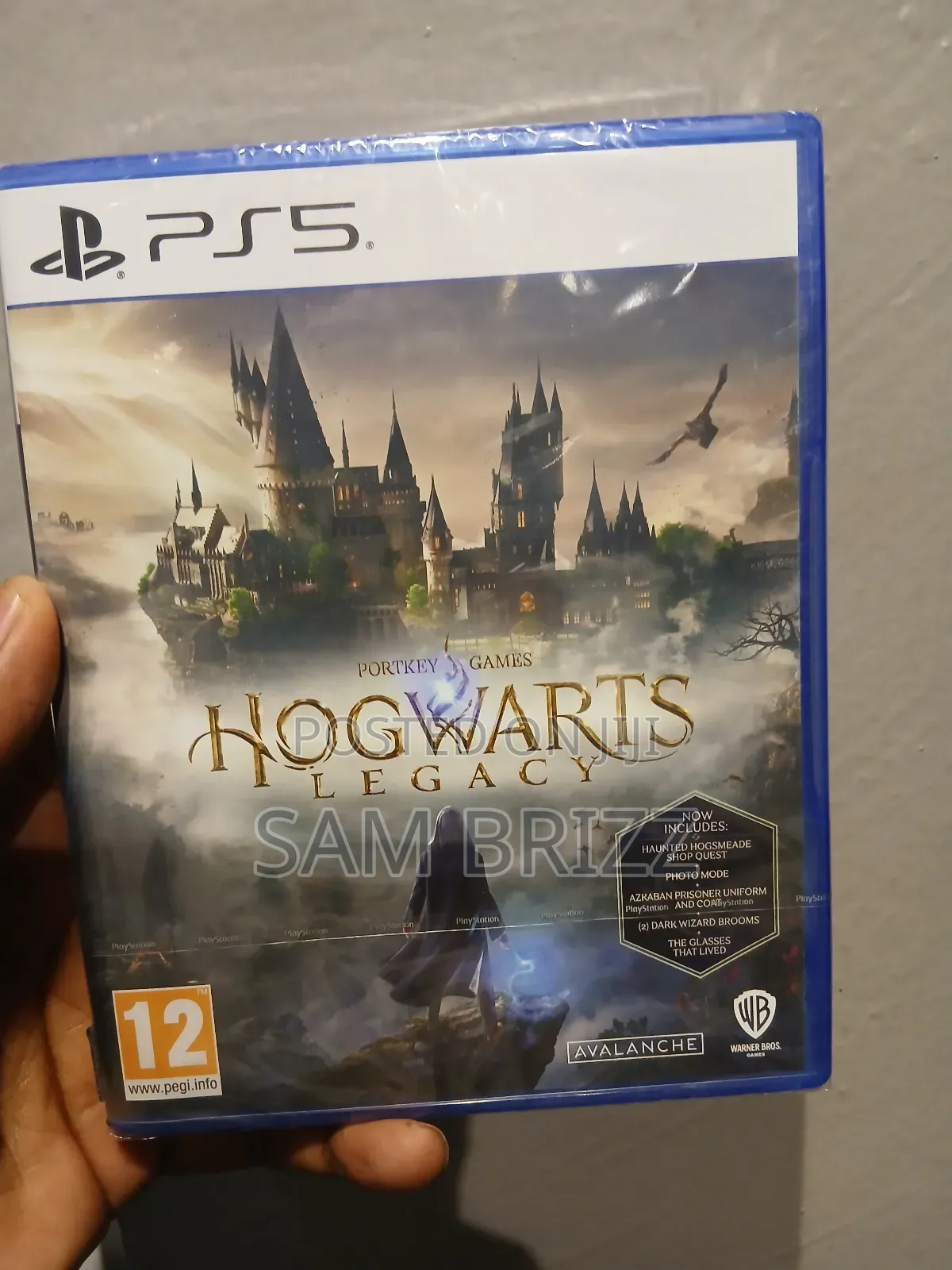 Hogwarts Legacy Ps5