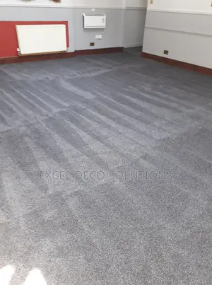 Delta Carpets – The Interior Upgrade You Deserve