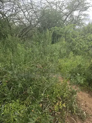 445acres At Kibwezi Off Mombasa Road On Sale