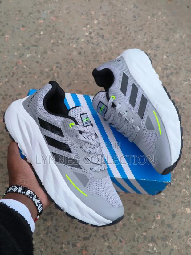 Adidas Terrex Trainers - main view