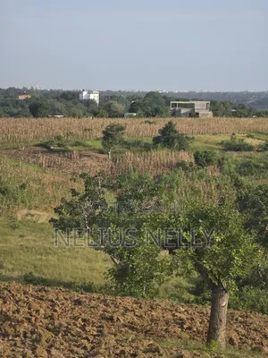 1acre Land for Mtwapa Near Creek