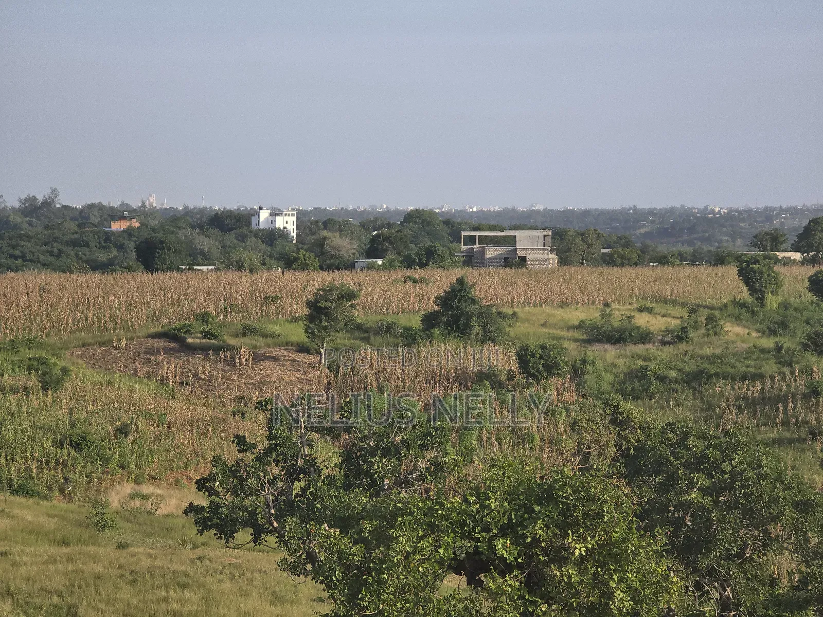 1acre Land for Mtwapa Near Creek