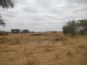 3.5 Acres in Mashuru - thumbnail 2