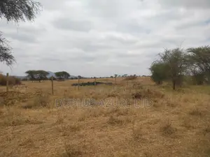 3.5 Acres in Mashuru