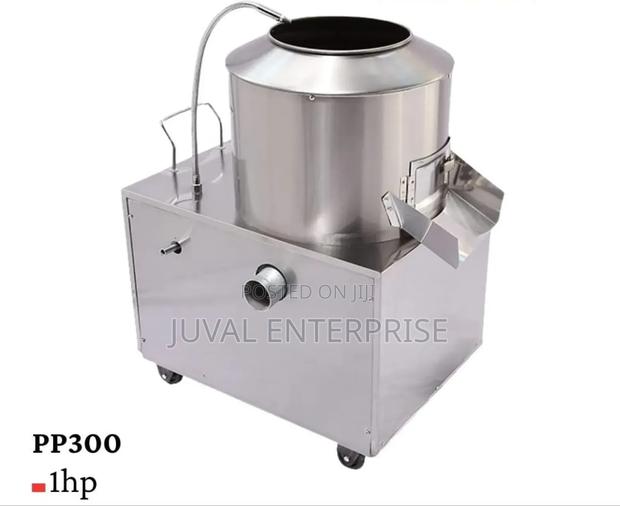 Potato Peeler - main view