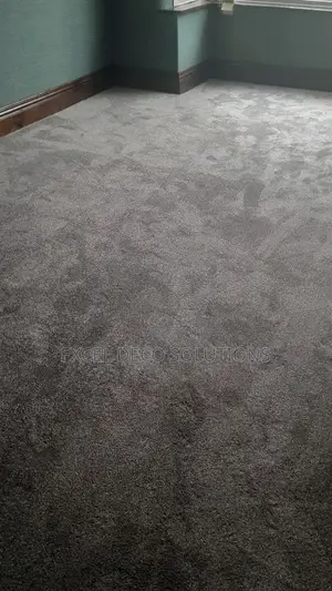 Delta Carpets – Elegance in Every Step