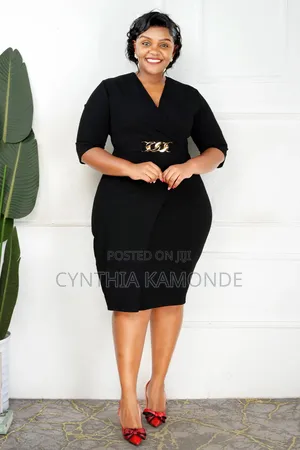 Zip Straight Dres