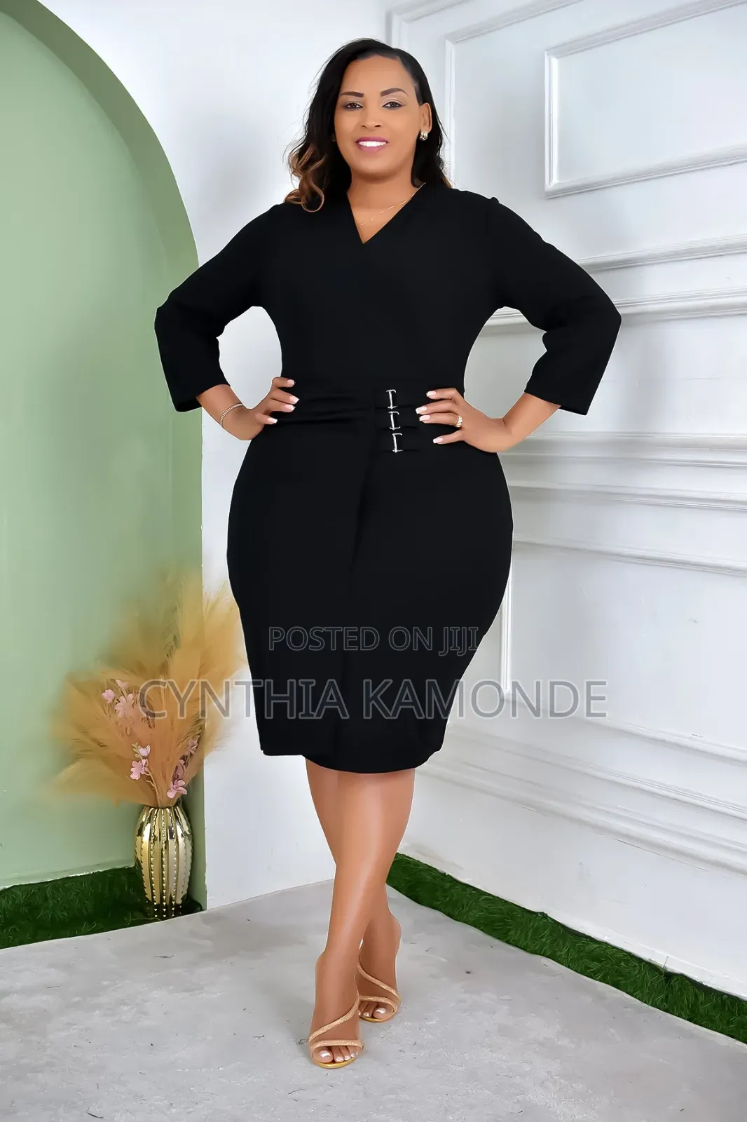 Zipper Fitting Dress