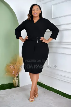 Zipper Fitting Dress