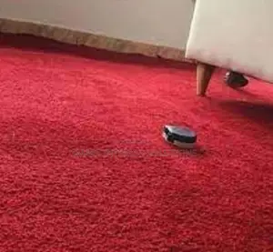 Home Wall to Wall Delta Carpet