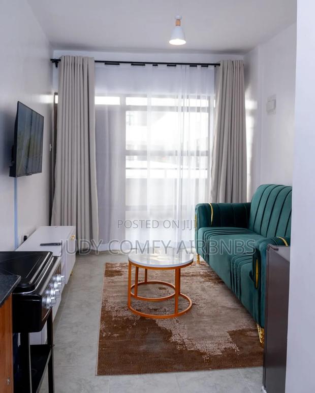 Furnished Air BNBS-Studio,1,2 Bedrooms Roysamb-TRM - thumbnail 5
