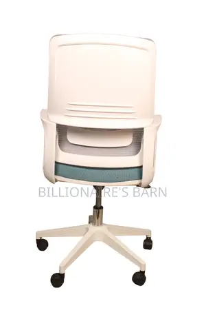Office Chair; Orthopedic Back Executive Swivel Office Seat
