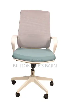 Office Chair; Orthopedic Back Executive Swivel Office Seat