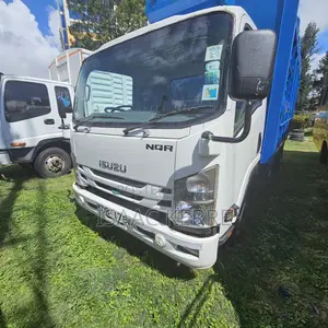 Isuzu NQR 2020