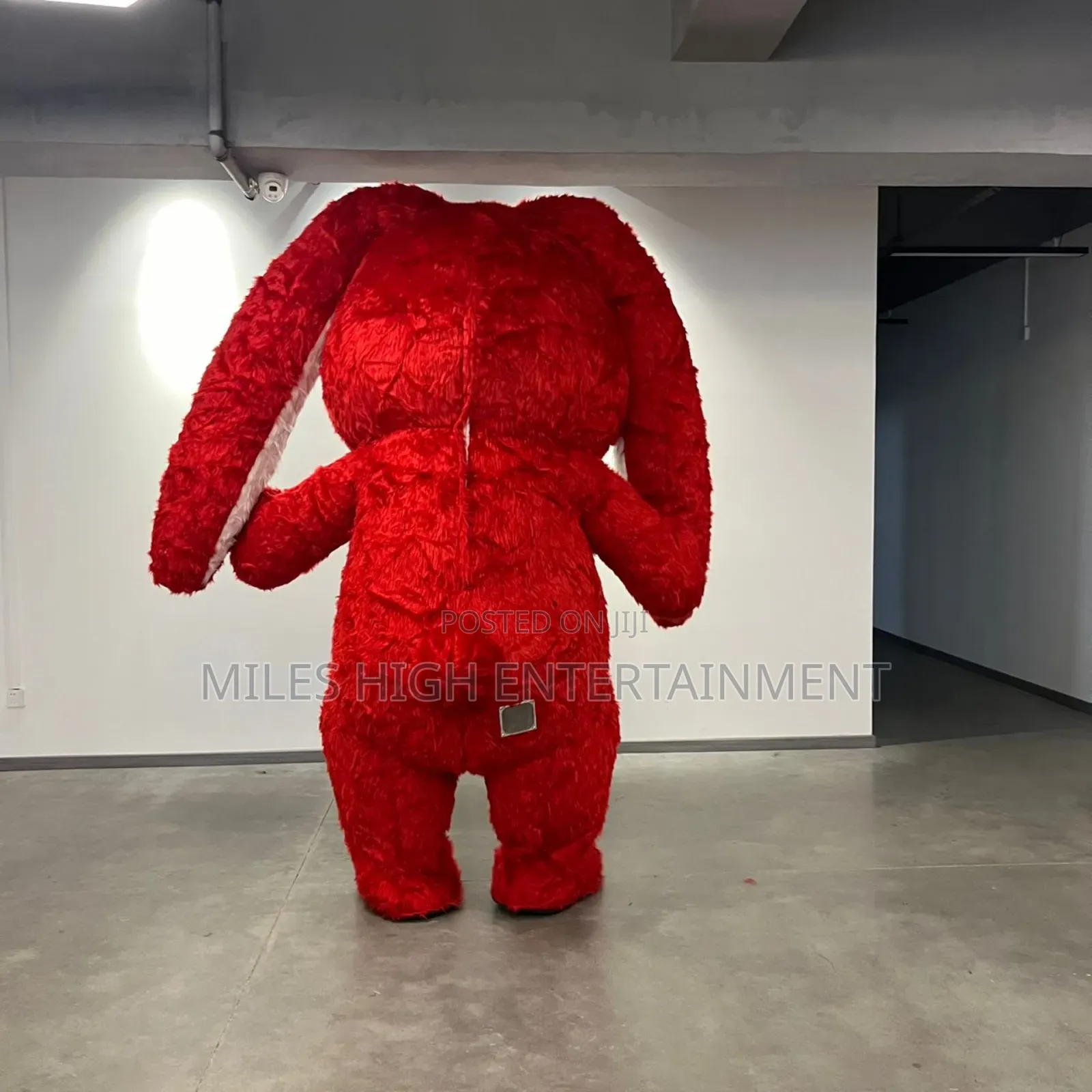 Bunny Mascots