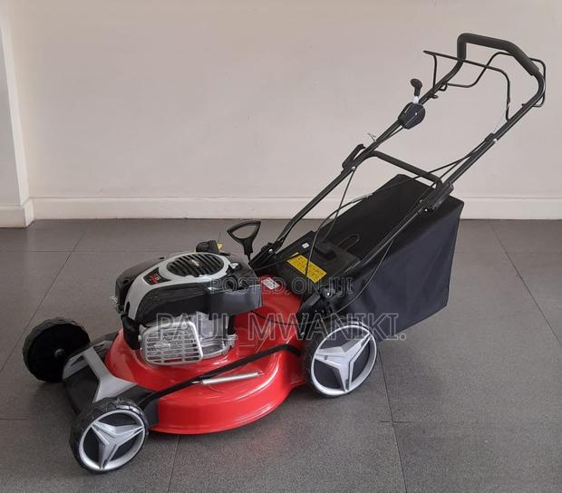 Briggs And Stratton Lawn Mower 161cc Self Propelled - main view