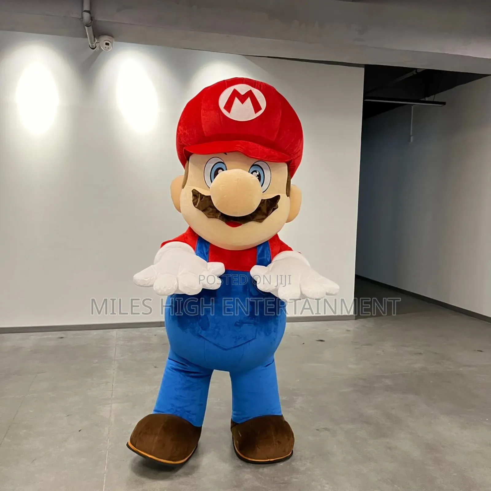 Super Mario Mascot