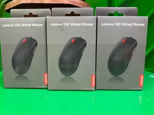 Lenovo 120 Usb Mouse – Black