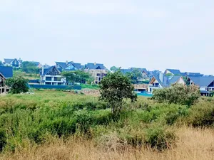 Mugutha Commercial 50x100