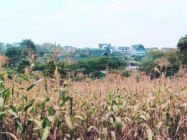 Mugutha Commercial 50x100 - thumbnail 9