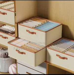 Double Compartment Closet Organizer With A Divider