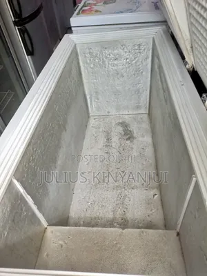 2 Doors Commercial Freezer