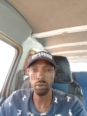 Professional Driver
