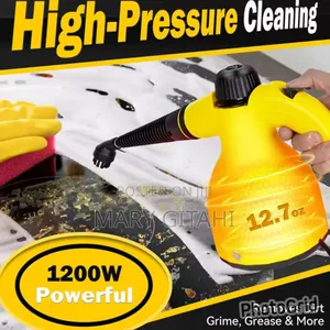 220v Handheld High Temperature Steam Cleaner