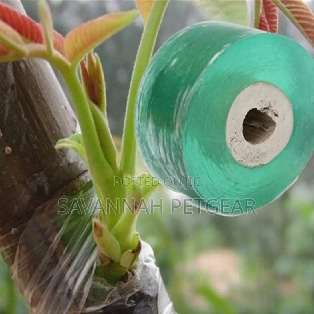 Tree Grafting Tapes Width 3cm, Length 100m - 10 Pieces