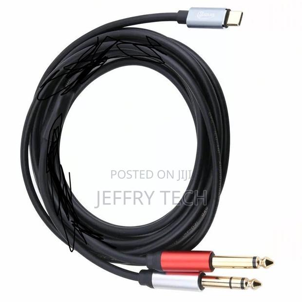 Usb-C to 2 X 6.35mm 2-in-1 Instrument Guitar +Audio Cable 3m