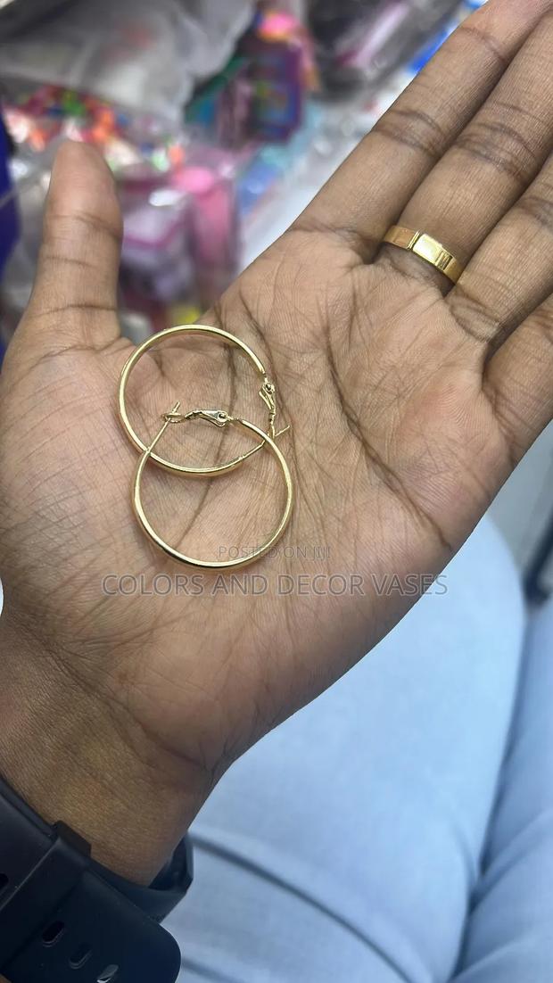 Round Medium Sized Looped Earings - main view