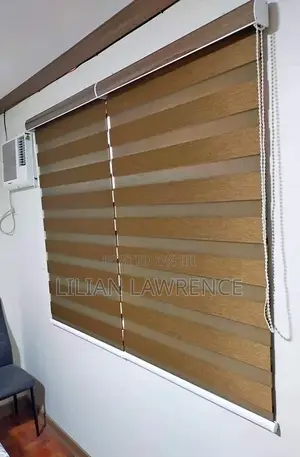 Sheer Zebra Blinds