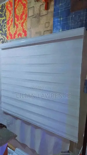 Horizontal Window Blinders