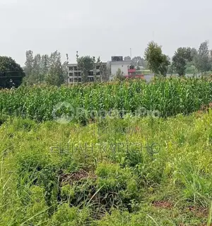 Urgent Land for Sale