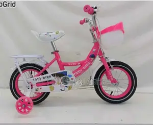Ladybird 12" Kid's Bicycle (4 to 8yrs)