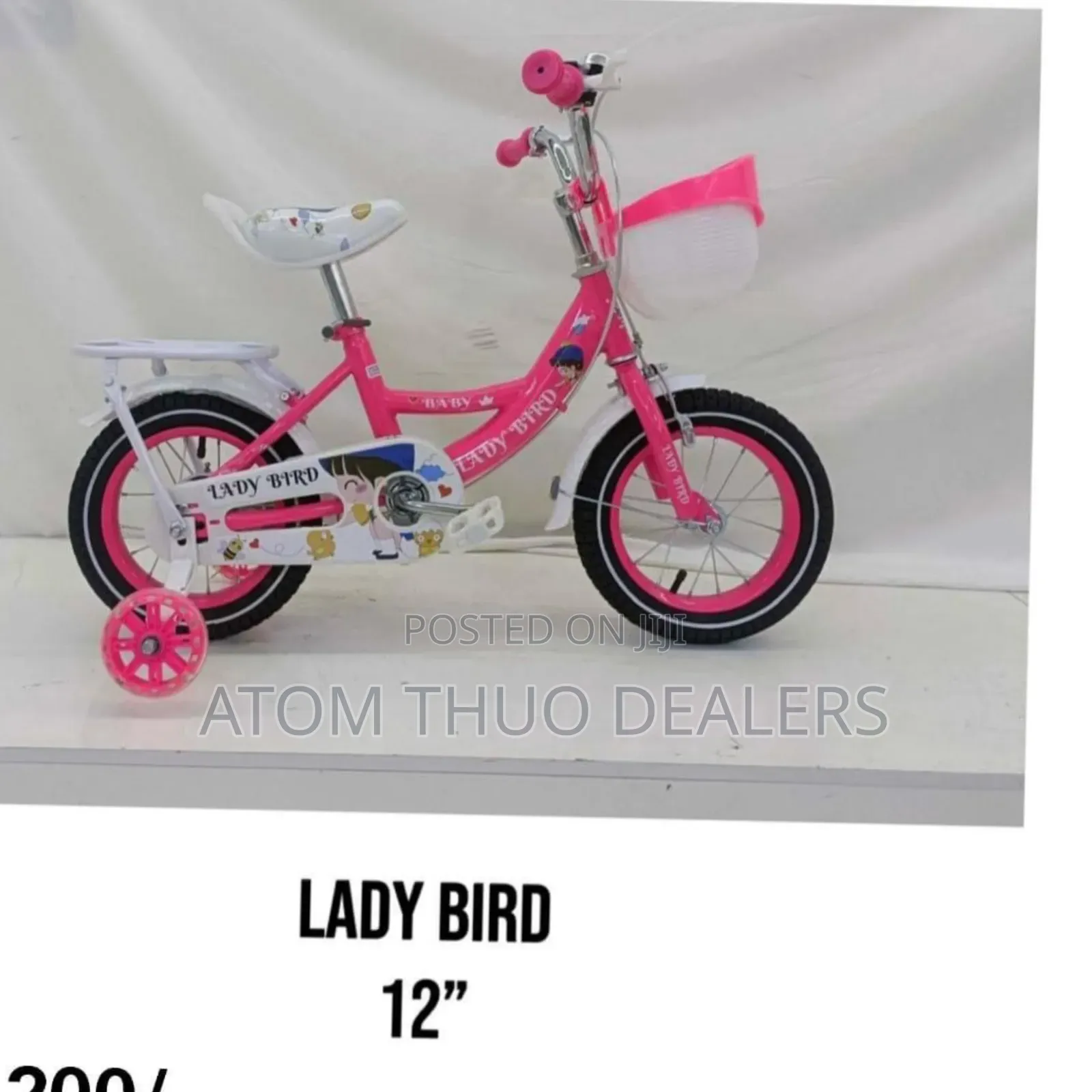 Pink Lady Bird Size 12 Bike
