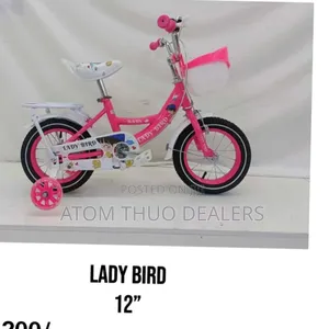 Pink Lady Bird Size 12 Bike