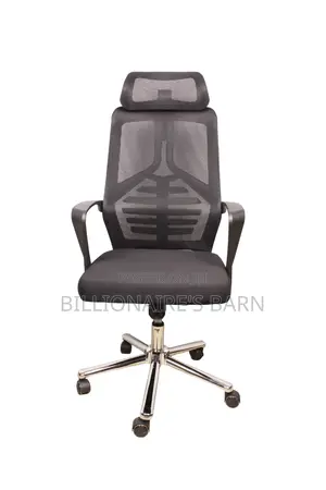 Chair Chairs: High Back Advanced Mesh Back Executive Chair