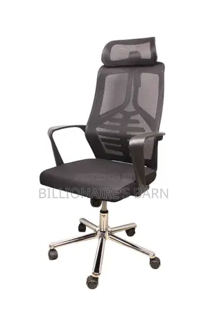 Chair Chairs: High Back Advanced Mesh Back Executive Chair