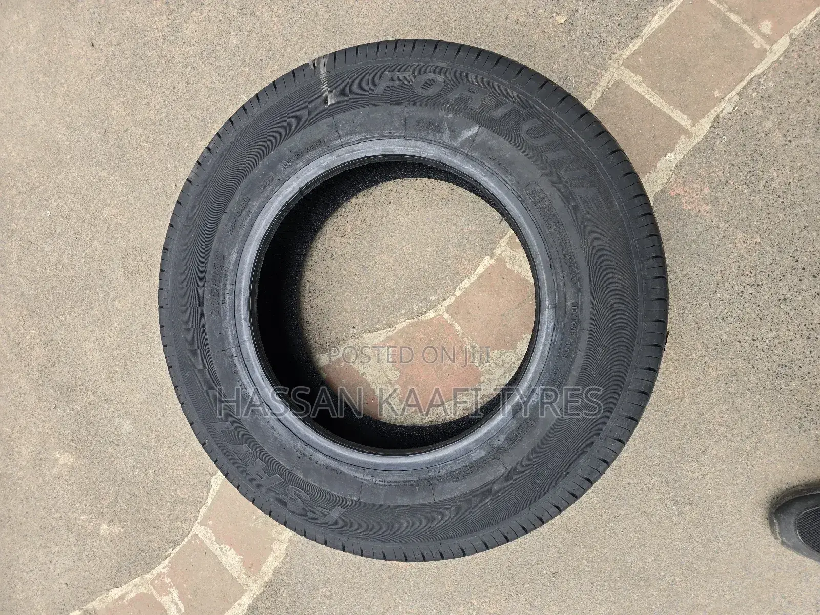 205r16c Fortune (8pr)