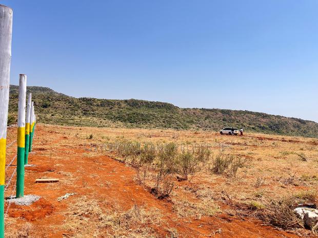 New 50x100ft Project Alert - Nachu Kikuyu - main view