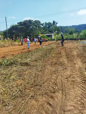 Kikuyu Nachu Mbomboini Plots – Ready for You