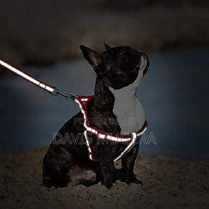 Adjustable Soft Nylon Reflective Strip Dog Harness Leash - thumbnail 2