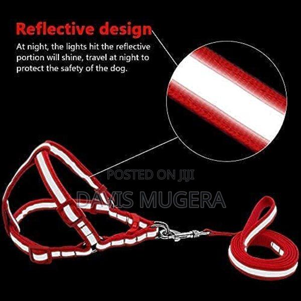 Adjustable Soft Nylon Reflective Strip Dog Harness Leash - thumbnail 4