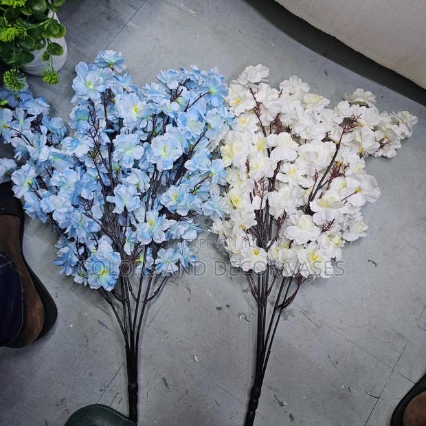 Blue and White Blossom Flowers