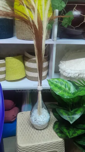 Home Decor Glass Vase Set Up