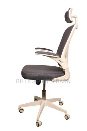 White Orthopedic Seat, Ergonomic Office Chair