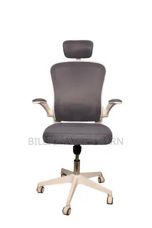 White Orthopedic Seat, Ergonomic Office Chair