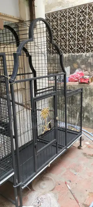 African Grey Parrot Cages