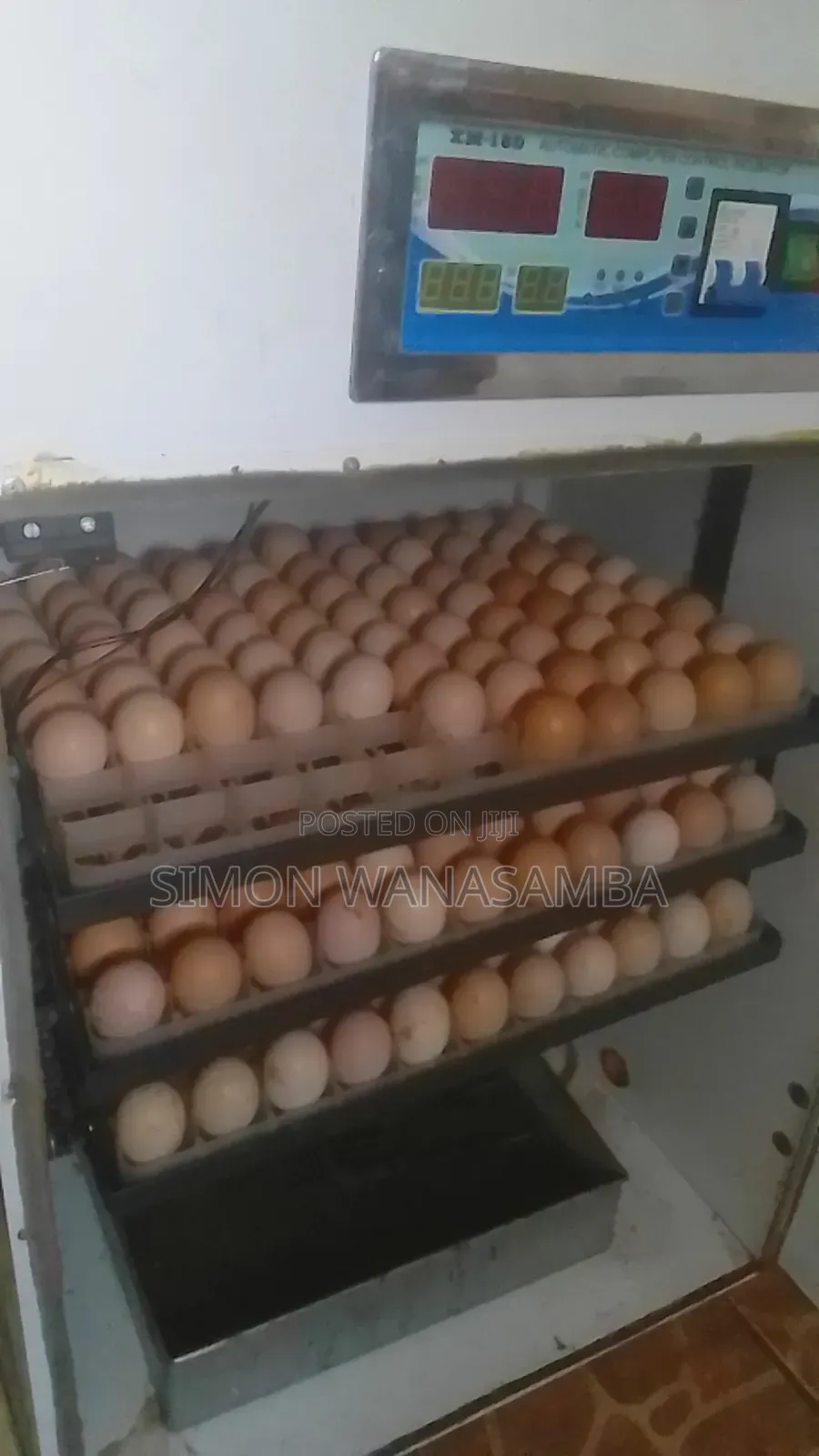 Egg Incubator and Spares